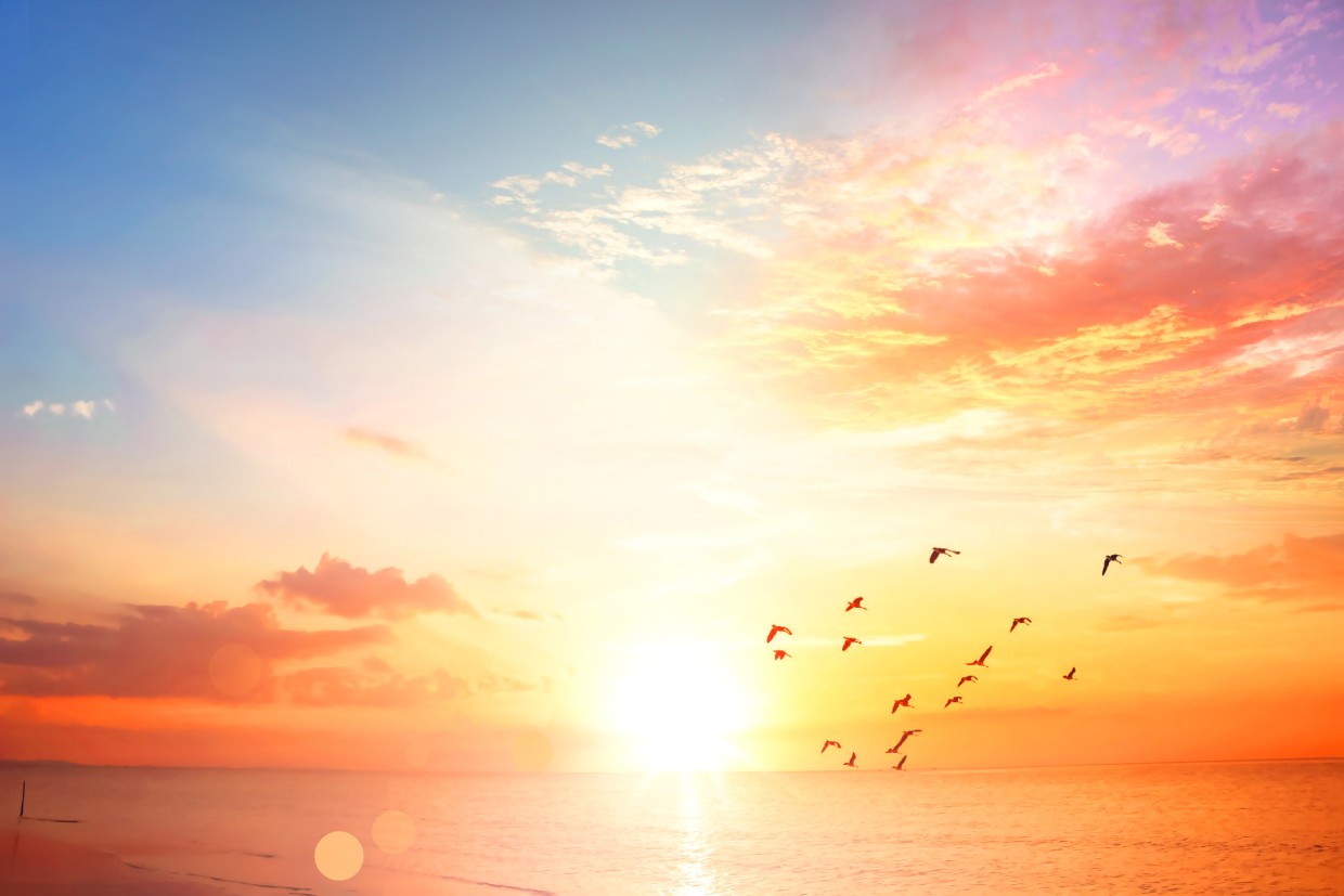 sunrise over ocean horizon representing wellness and sun-inspired lifestyle