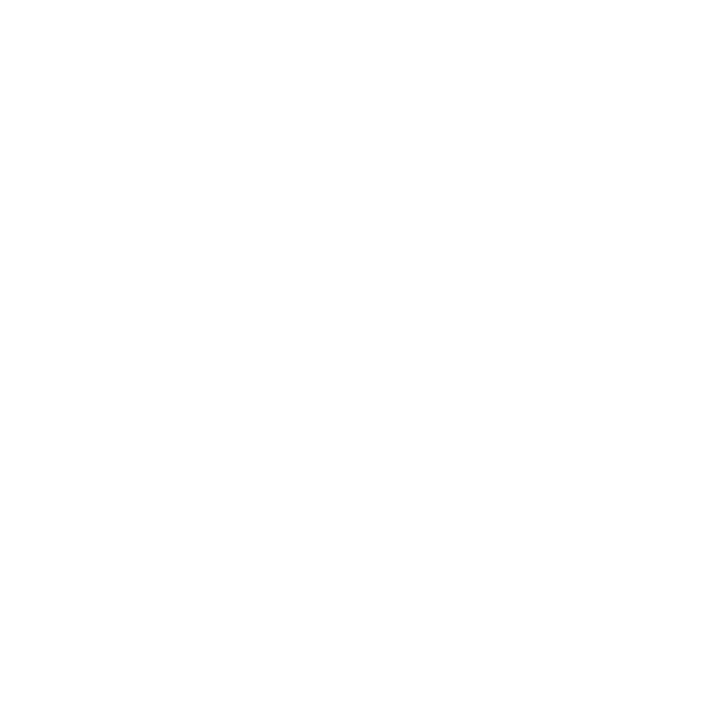 Wellsystem logo representing the brand's wellness equipment